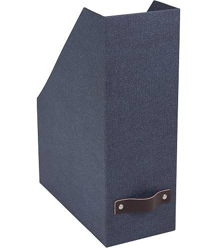 Amazon.com: Bigso Box of Sweden Silvia Organizational Storage Box
